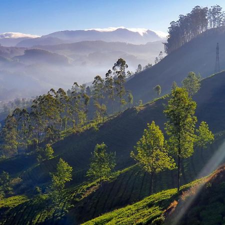 Grace Inn Munnar Homestay Exteriér fotografie